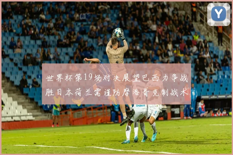 世界杯第19场对决展望巴西力争战胜日本荷兰需谨防摩洛哥克制战术