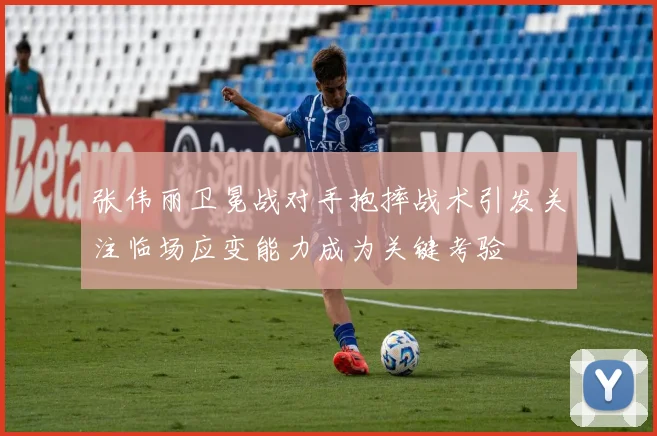 张伟丽卫冕战对手抱摔战术引发关注临场应变能力成为关键考验
